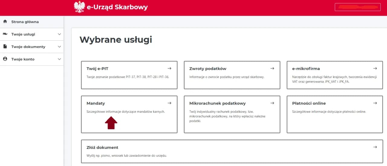 Jak szybko sprawdzić mandat online bez wychodzenia z domu – krok po kroku